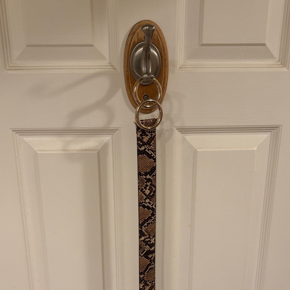 Express Brown Snake Pattern belt